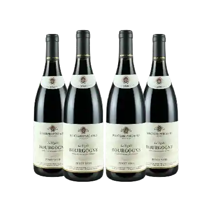 Bouchard Pere & Fils La Vignee Bourgogne Pinot Noir 2020 4支套裝