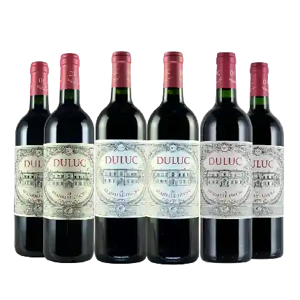 Duluc de Branaire Ducru 6支套裝（17,19,21 年份 各2支）