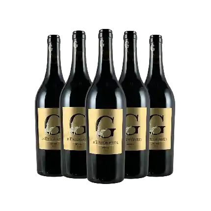 G D'Estournel 2020 5支套裝