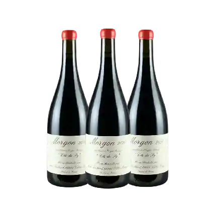 Domaine Jean Foillard Morgon Cote du Py 2020 3支套裝