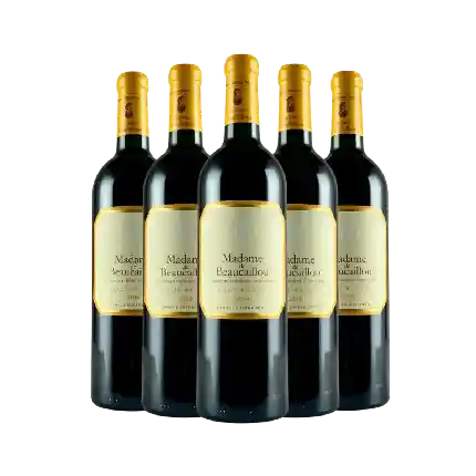 Madame de Beaucaillou 2019 5支套裝