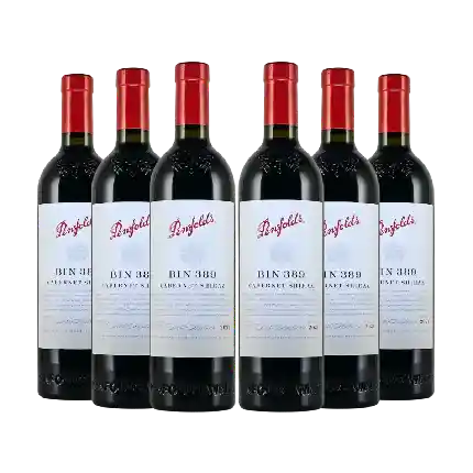 Penfolds (Bin 389) 2021 6支套裝