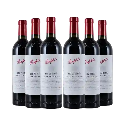 Penfolds (Bin 389) 2022 6支套裝