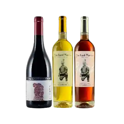 銀色高地世紀勇士3支入門套裝